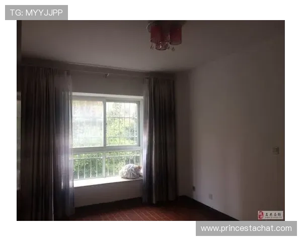 星城正规官网：专业团队为您提供全方位房产咨询与售后服务保障